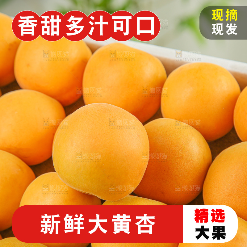 大黄杏