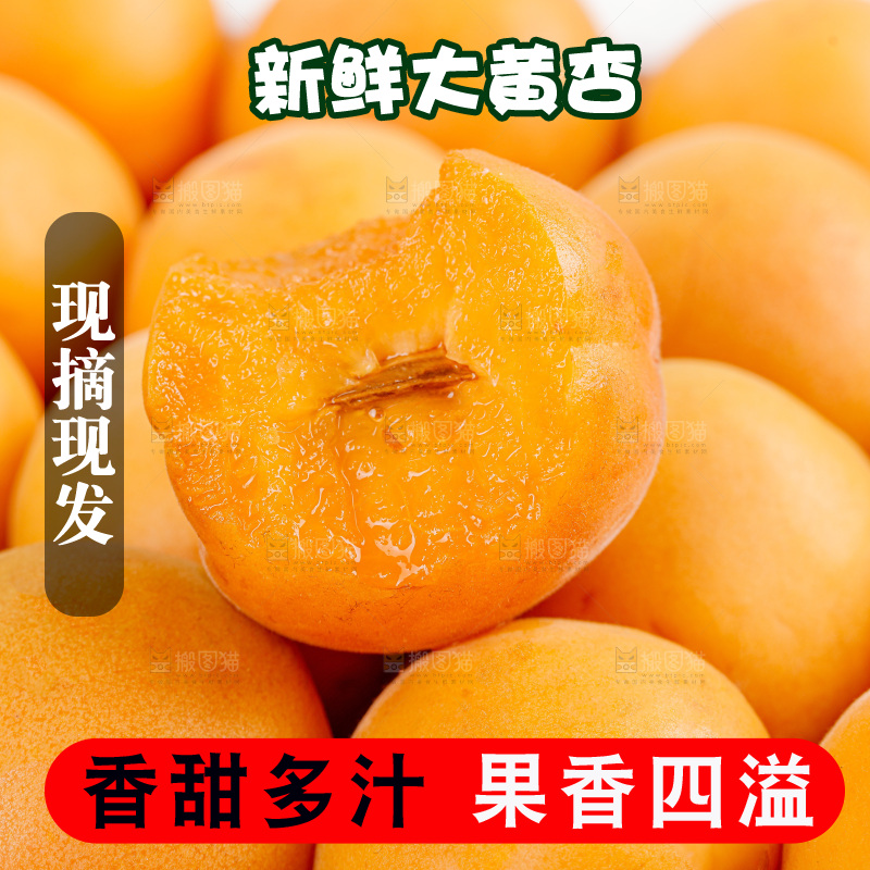 大黄杏