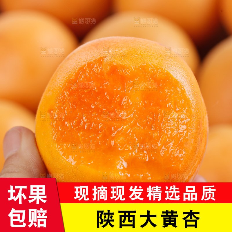 大黄杏