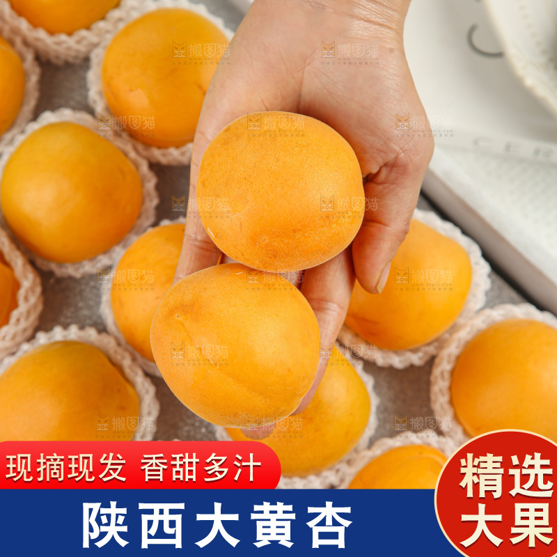 大黄杏