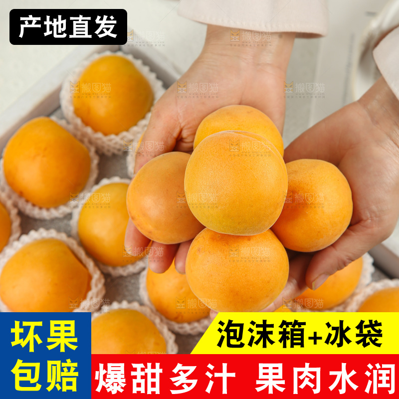 大黄杏