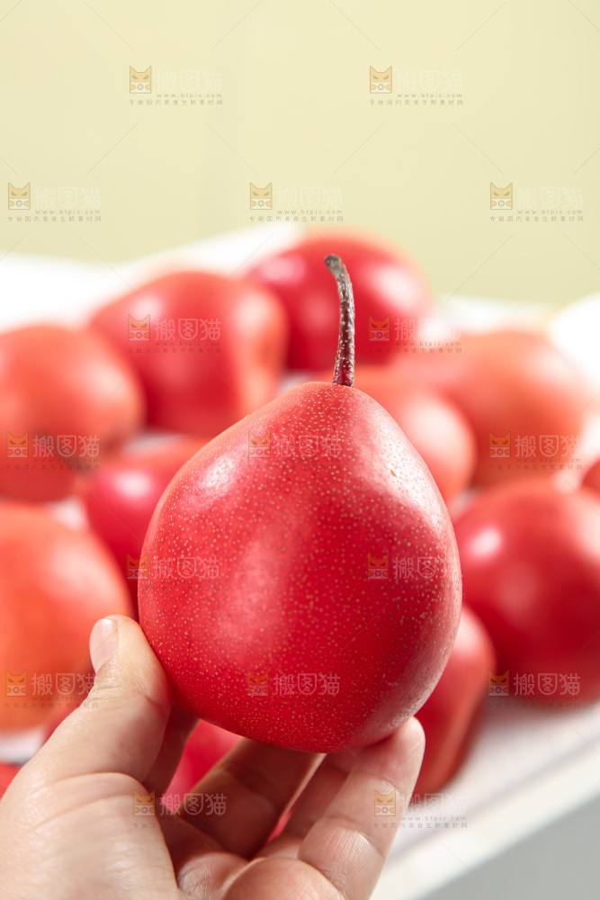 红啤梨