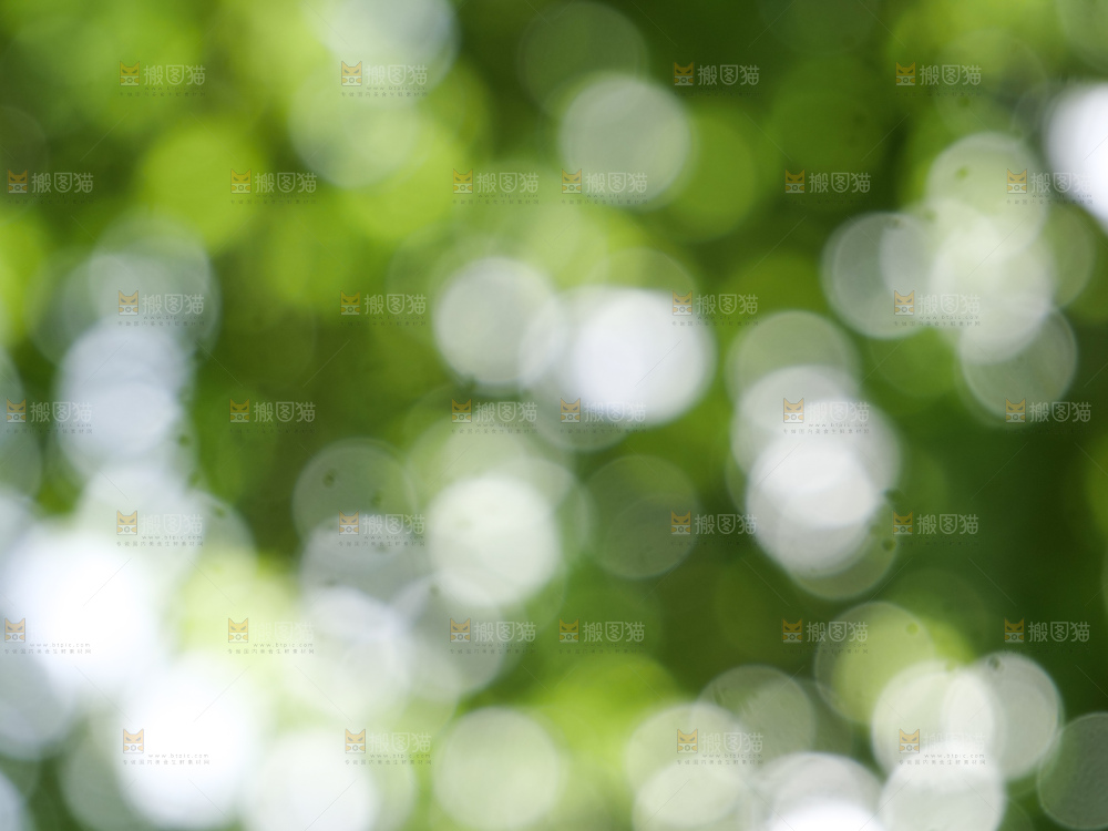 树林光晕