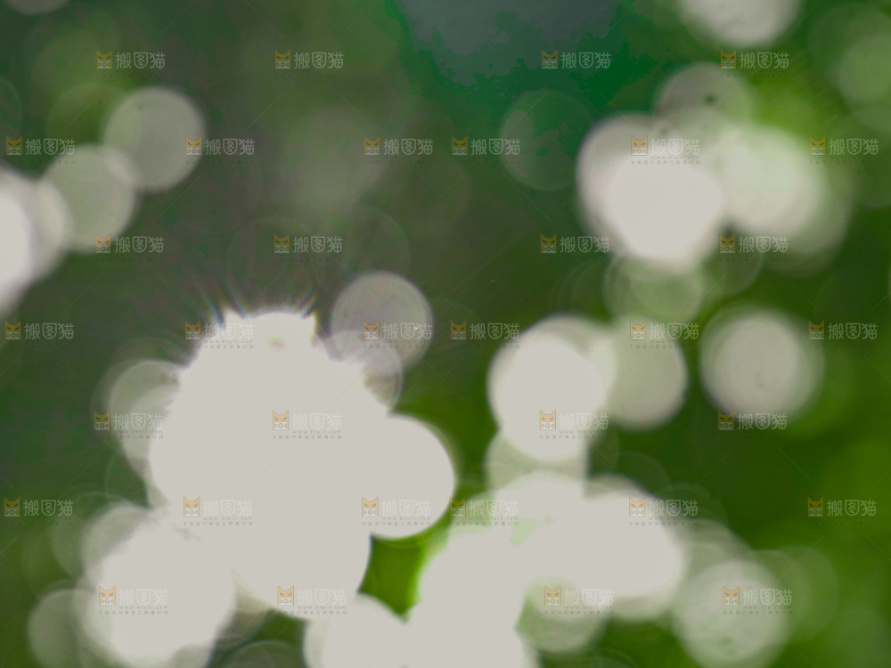 树林光晕