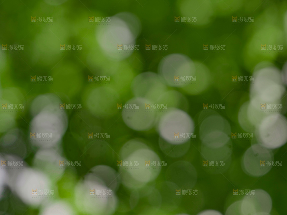 树林光晕