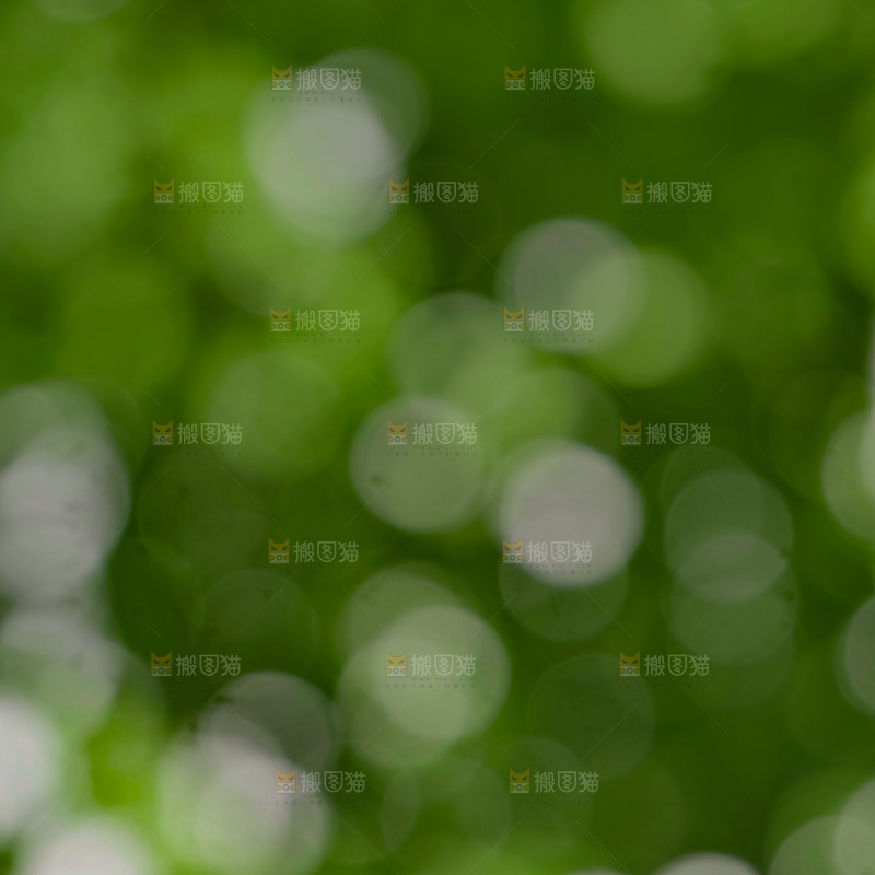 树林光晕