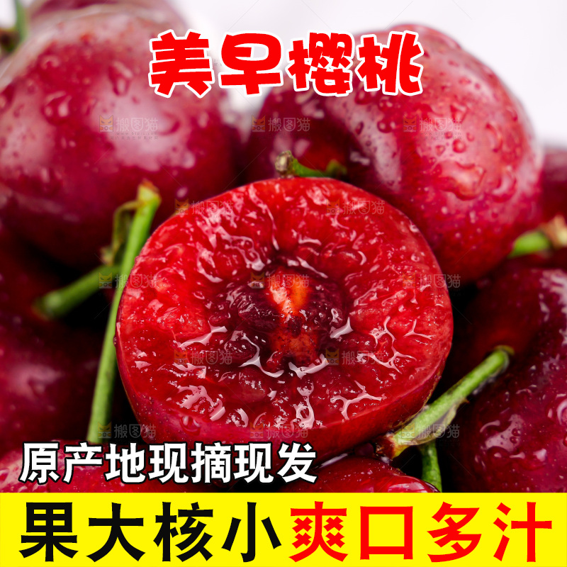 樱桃