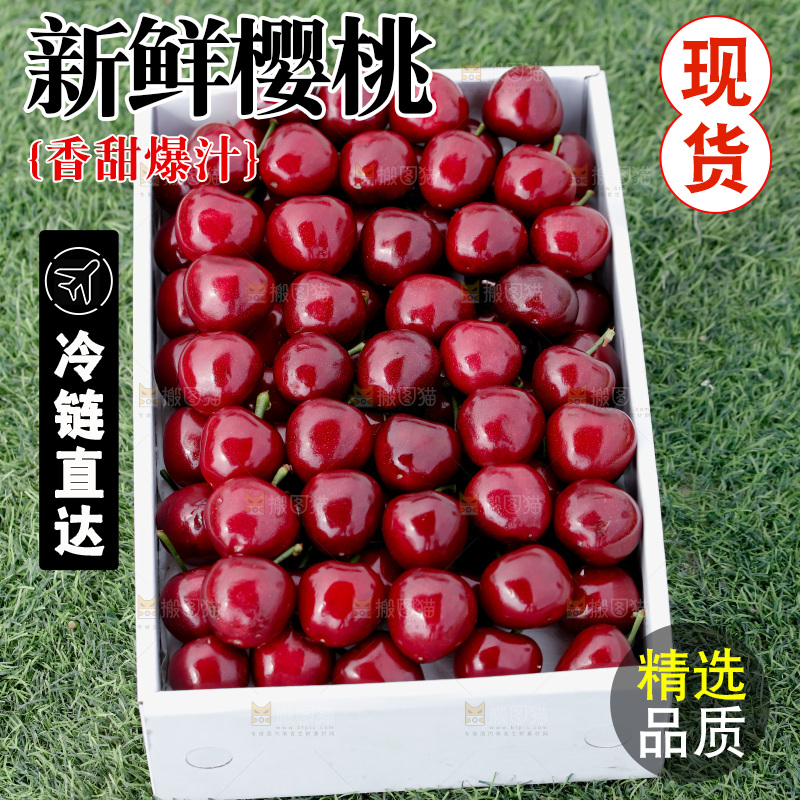 樱桃