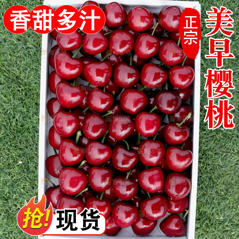 樱桃