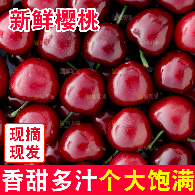 樱桃