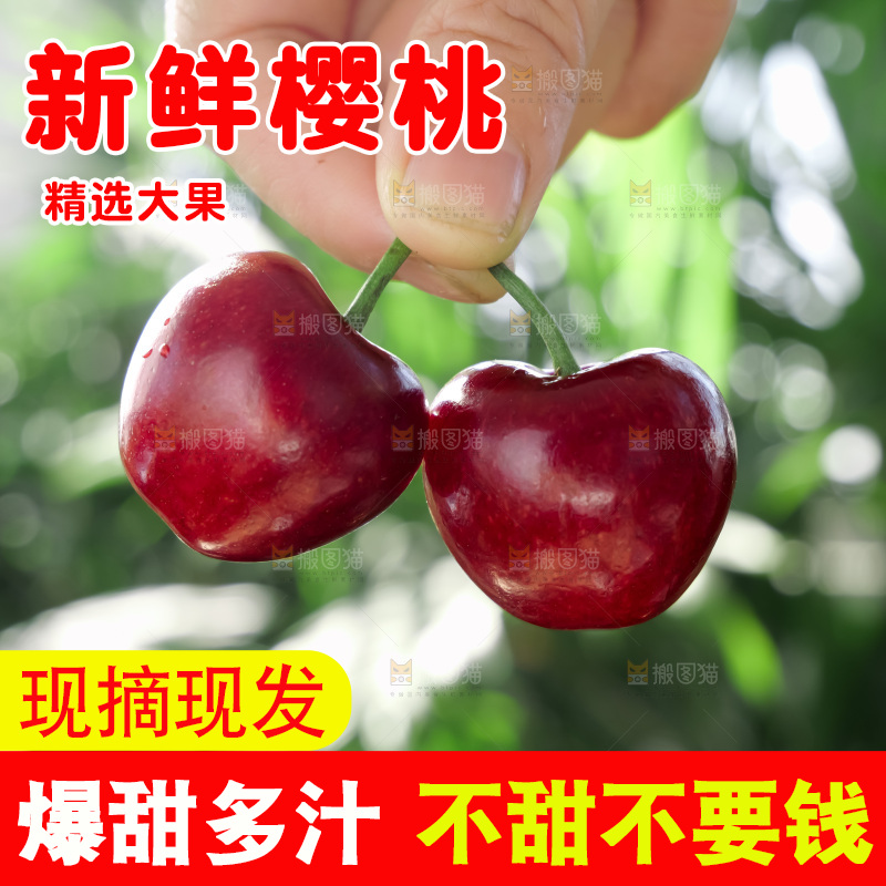 樱桃