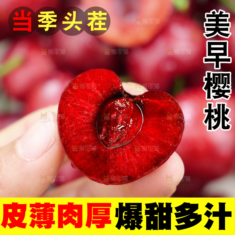 樱桃