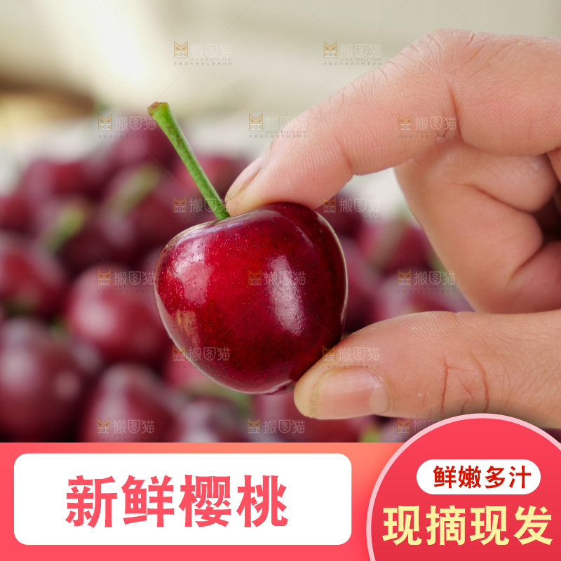 樱桃