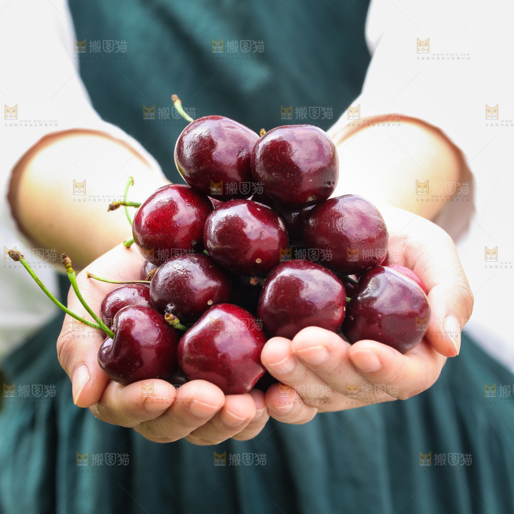 樱桃