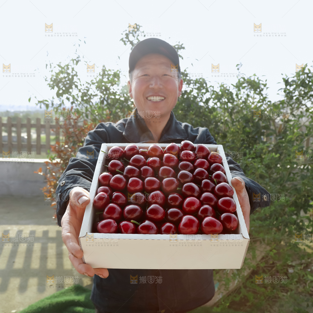 樱桃