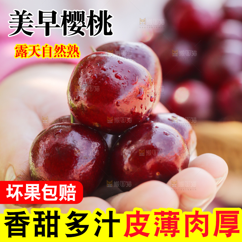 樱桃