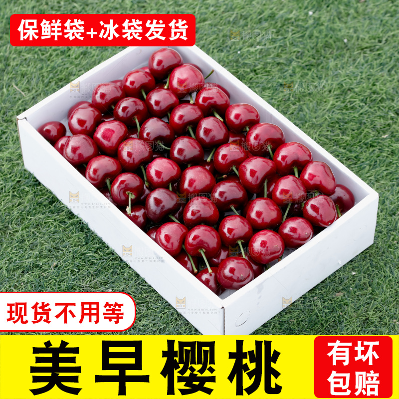 樱桃