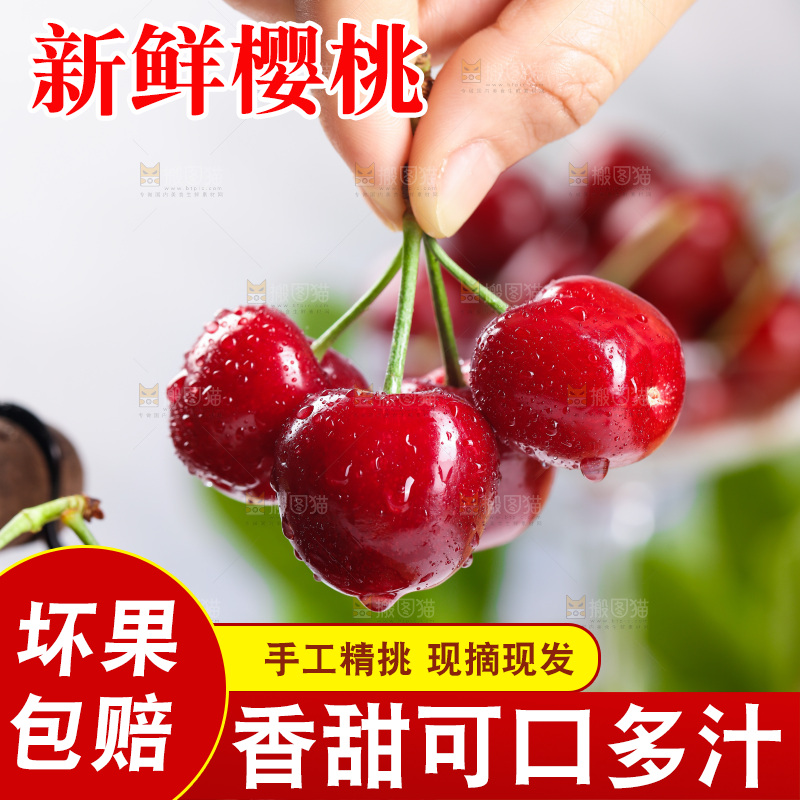樱桃