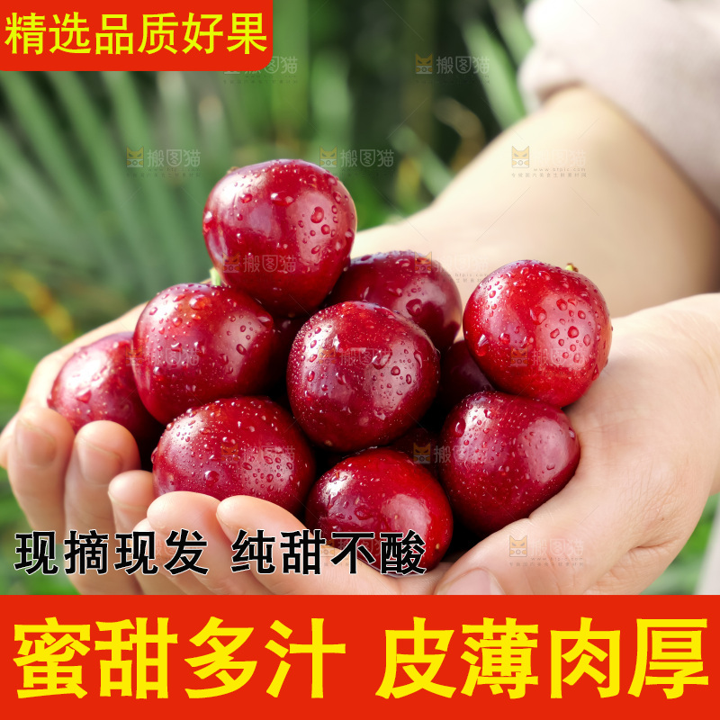 樱桃
