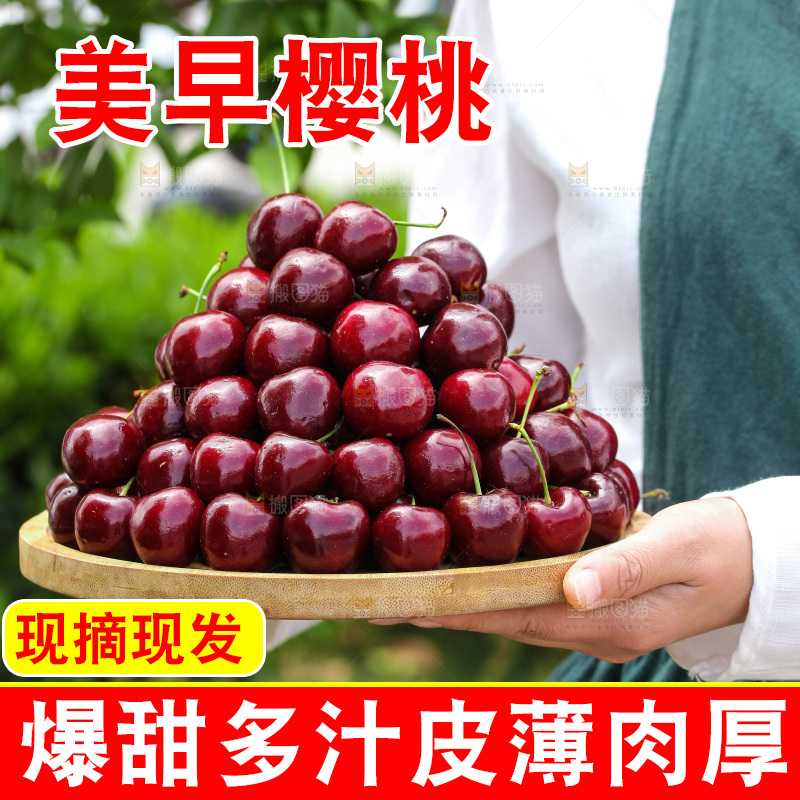 樱桃