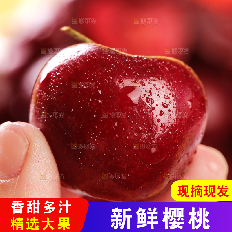 樱桃