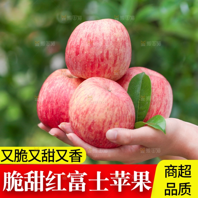 苹果主图