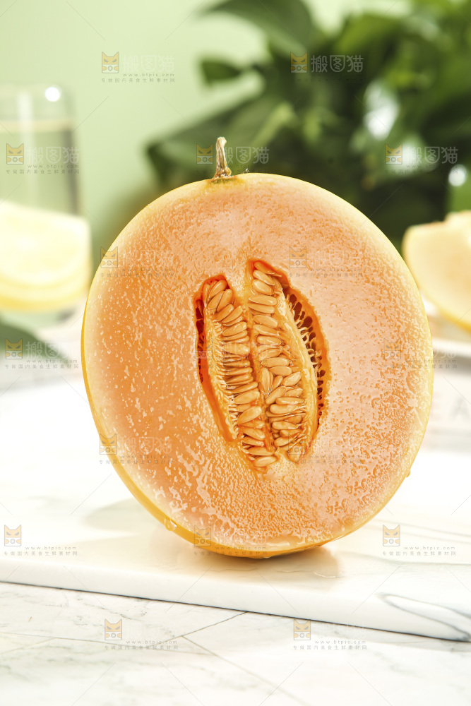 黄河蜜瓜