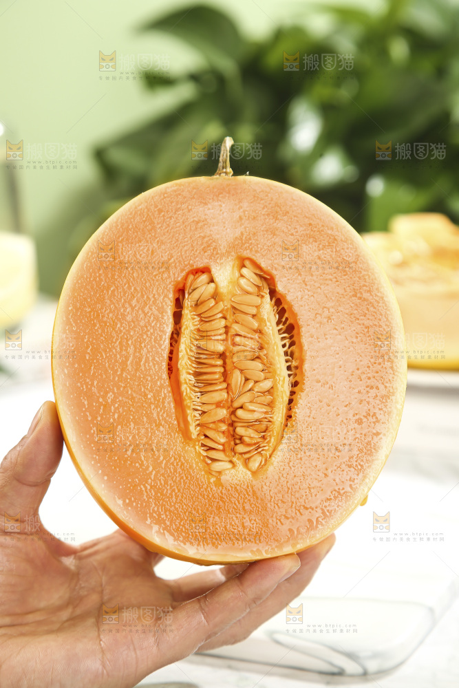 黄河蜜瓜