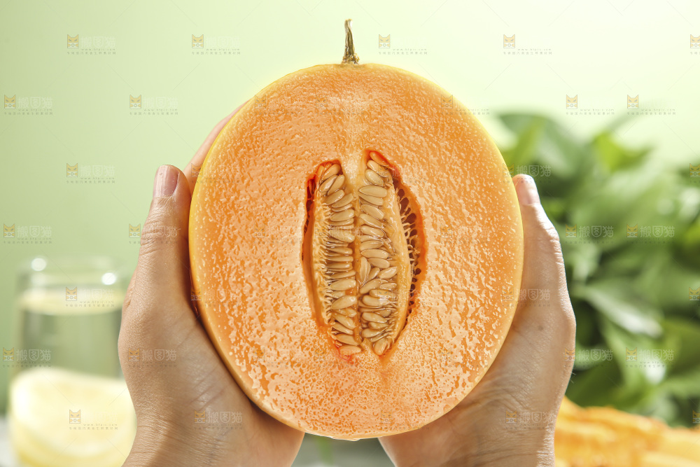 黄河蜜瓜