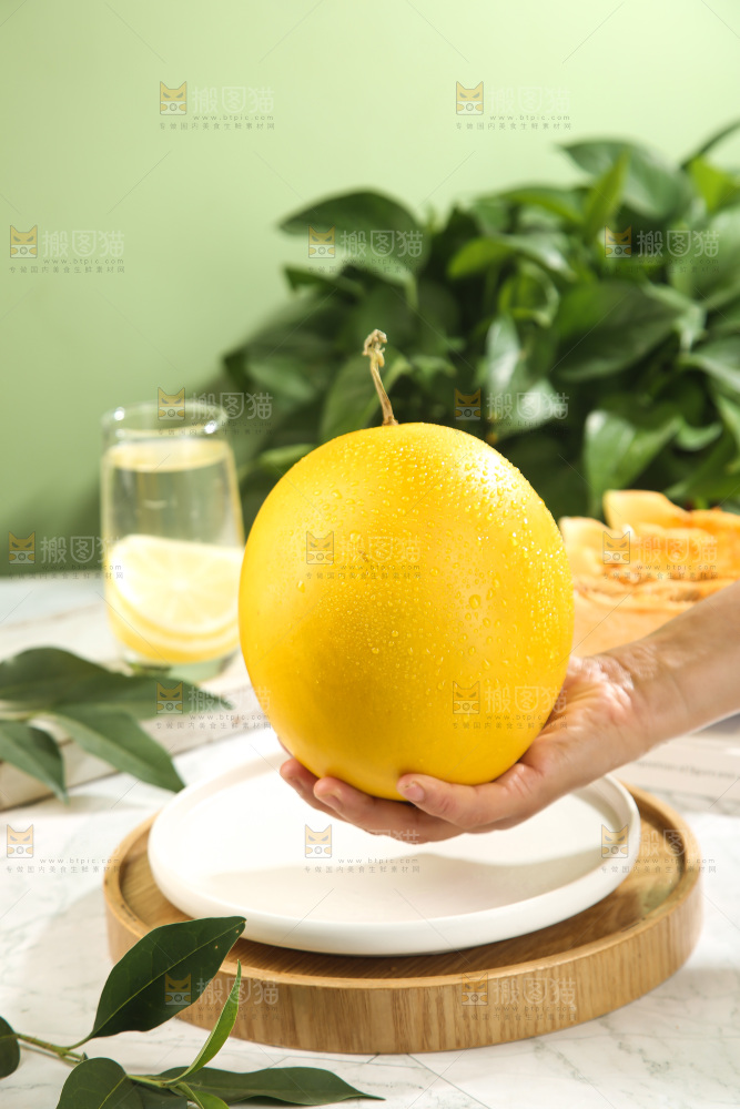 黄河蜜瓜