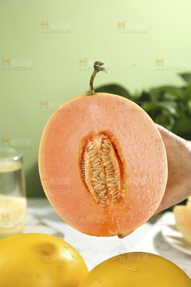 黄河蜜瓜