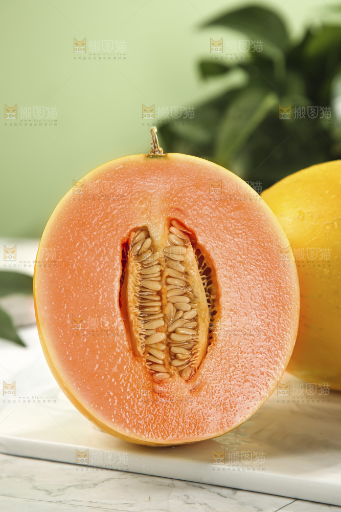 黄河蜜瓜