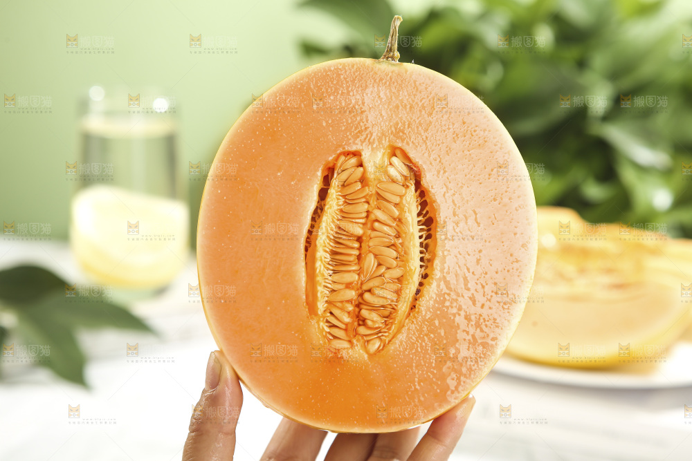 黄河蜜瓜