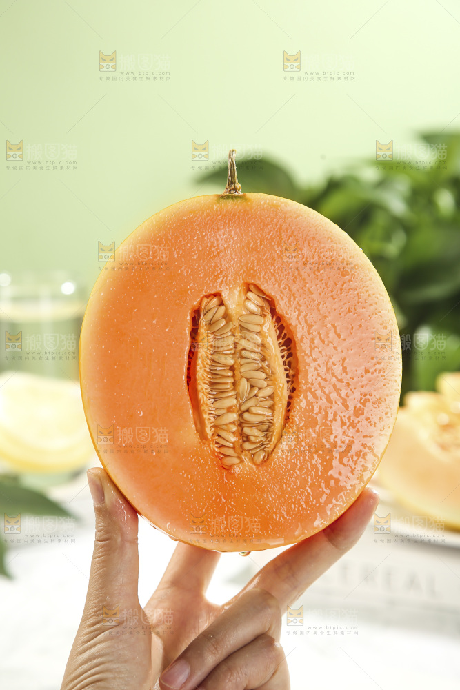 黄河蜜瓜