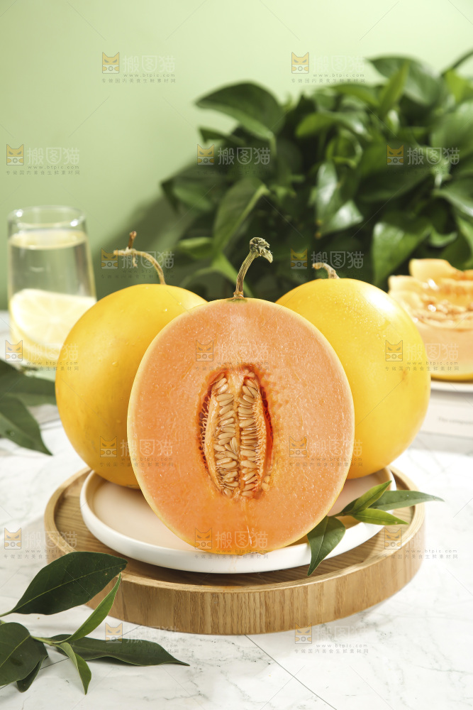 黄河蜜瓜