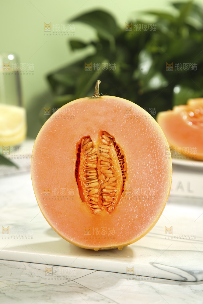 黄河蜜瓜