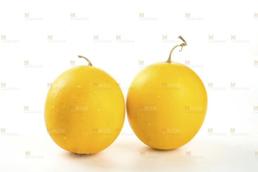 黄河蜜瓜