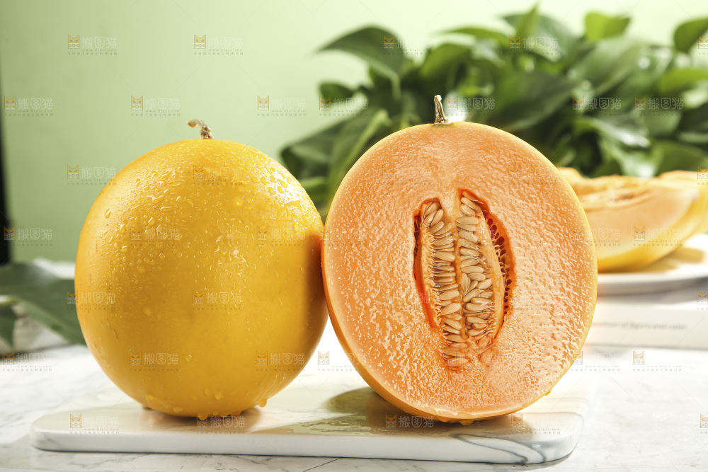 黄河蜜瓜