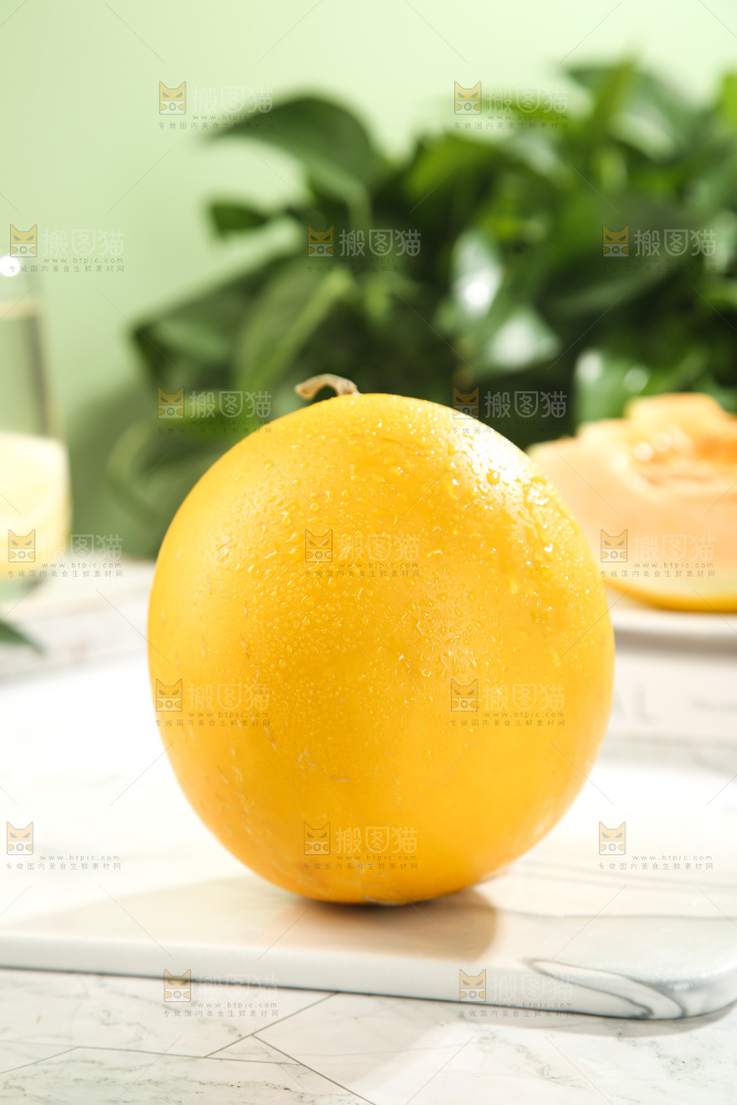 黄河蜜瓜