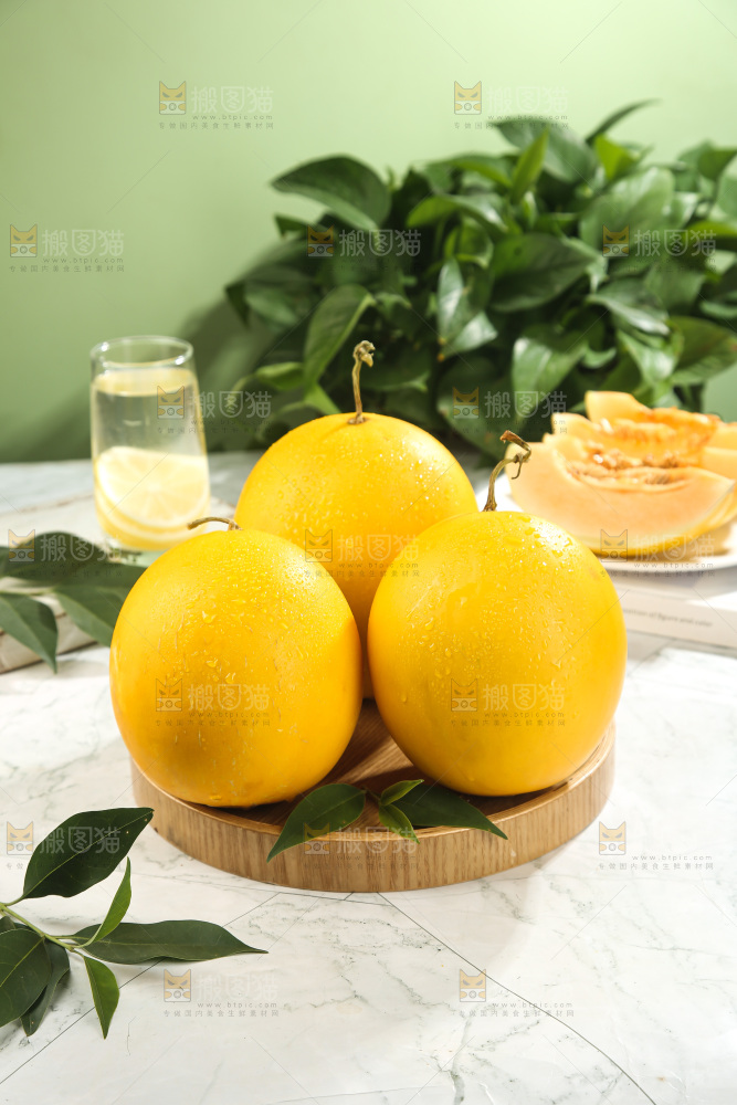 黄河蜜瓜