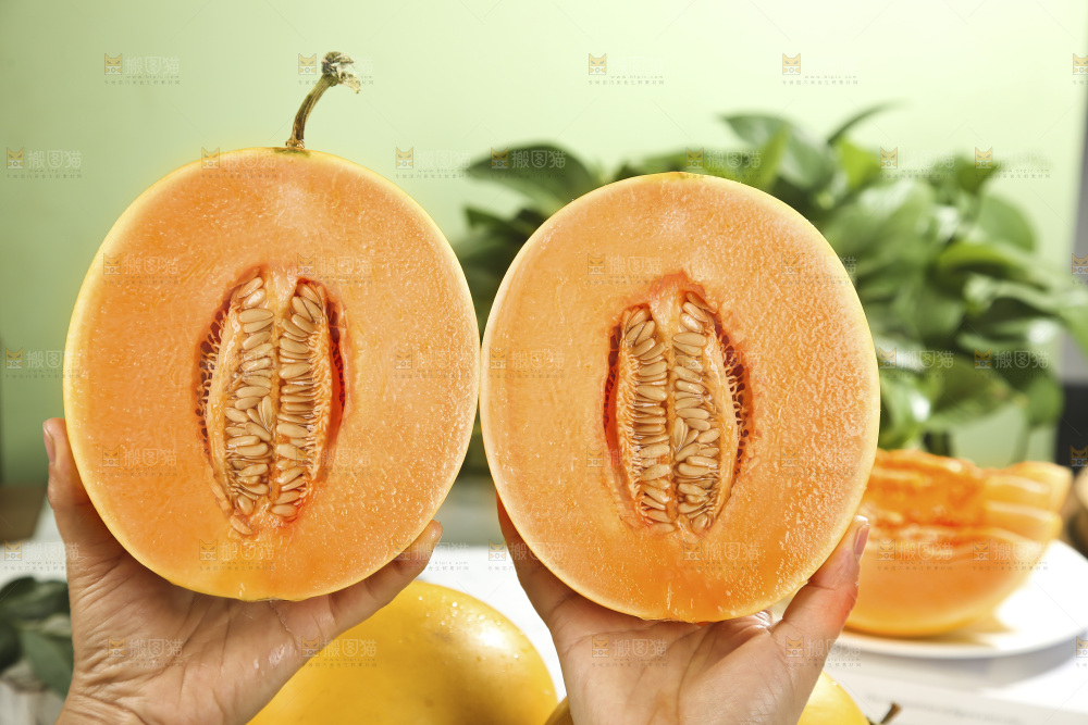 黄河蜜瓜
