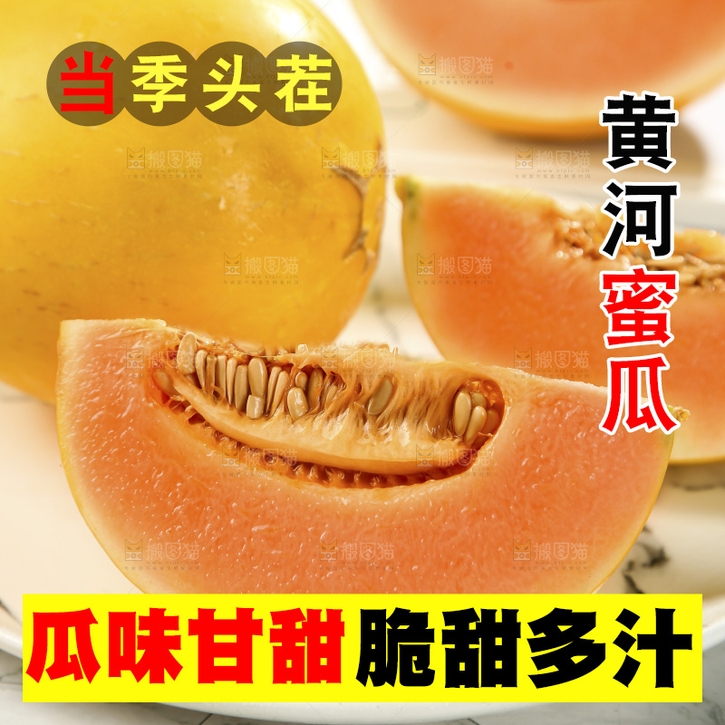 黄河蜜瓜