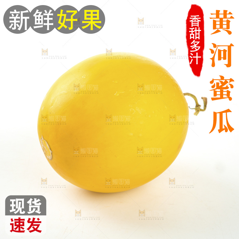 黄河蜜瓜
