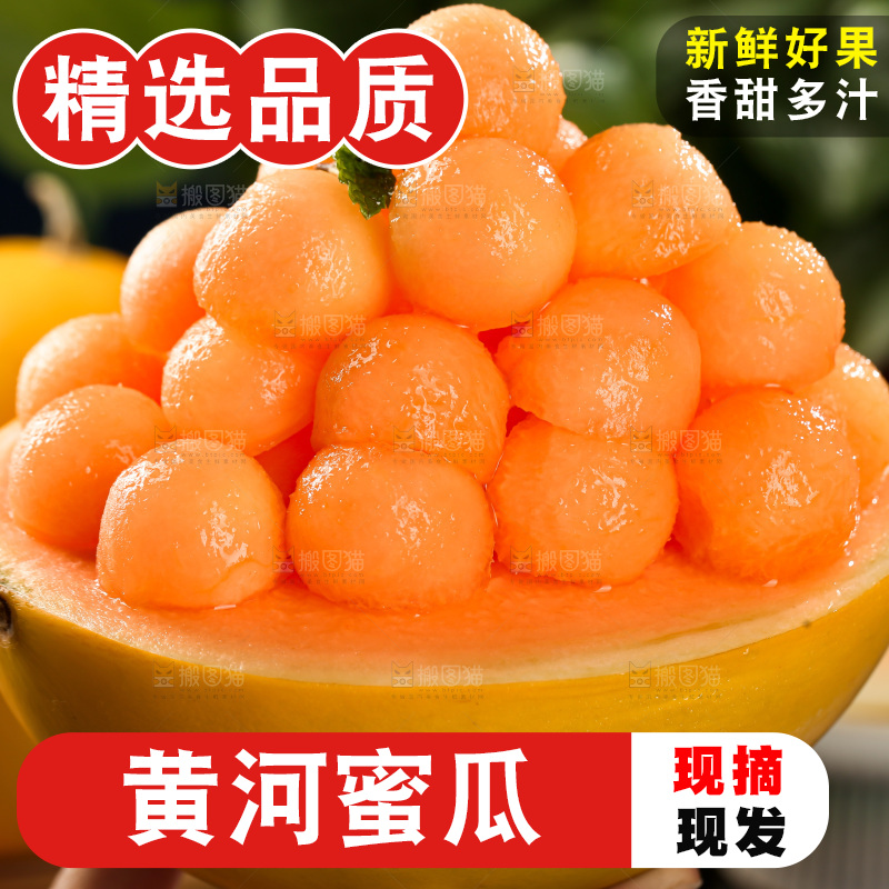 黄河蜜瓜