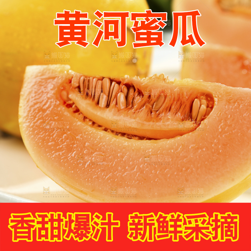 黄河蜜瓜