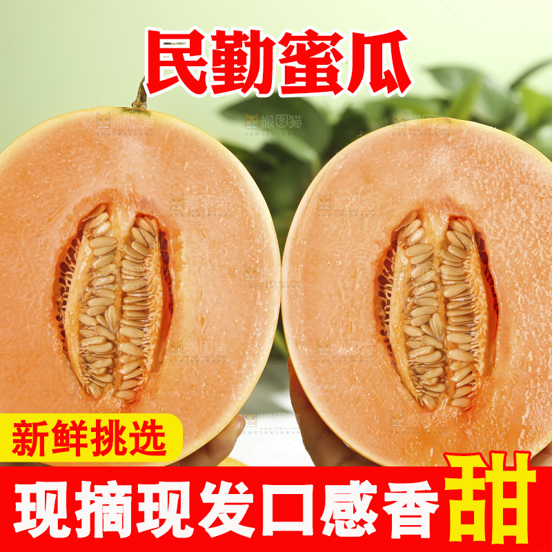 黄河蜜瓜