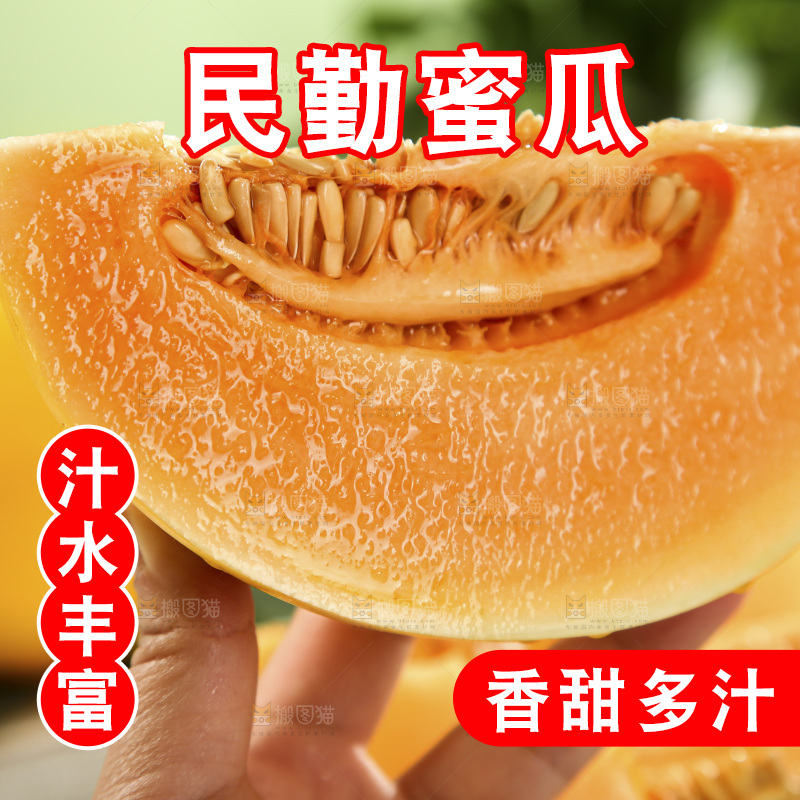 黄河蜜瓜