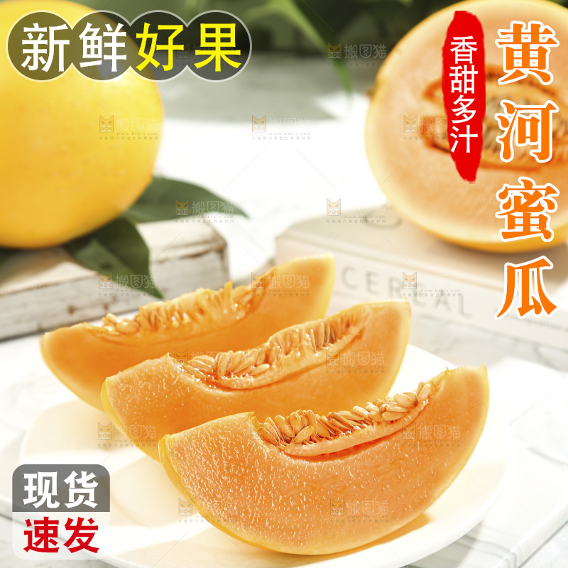 黄河蜜瓜