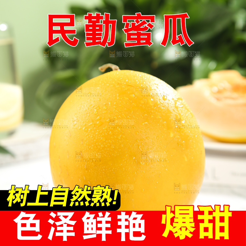 黄河蜜瓜