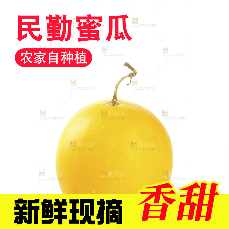 黄河蜜瓜